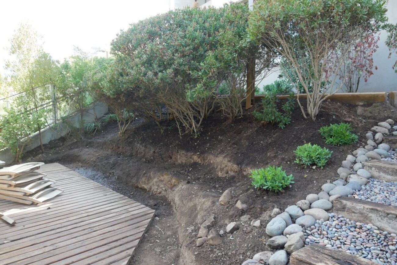 Asesorías Especiales